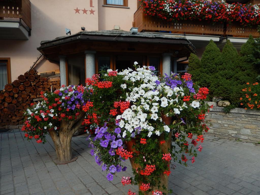 Albergo Du Soleil Cogne Exterior foto